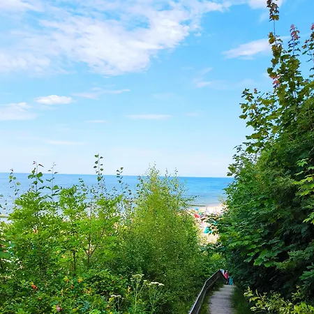 Апартаменты Haus Albatros 4 Козеров