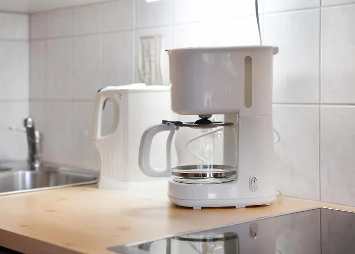 Apartment Haus Albatros 4 *