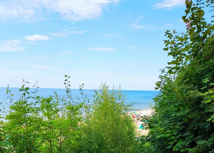 Apartment Haus Albatros 4 Koserow